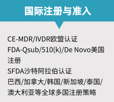 国际注册与准入